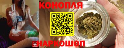 герыч Новодвинск