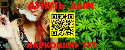 СК Новозыбков