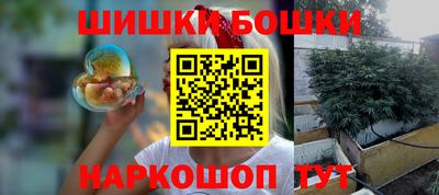 СК Новозыбков