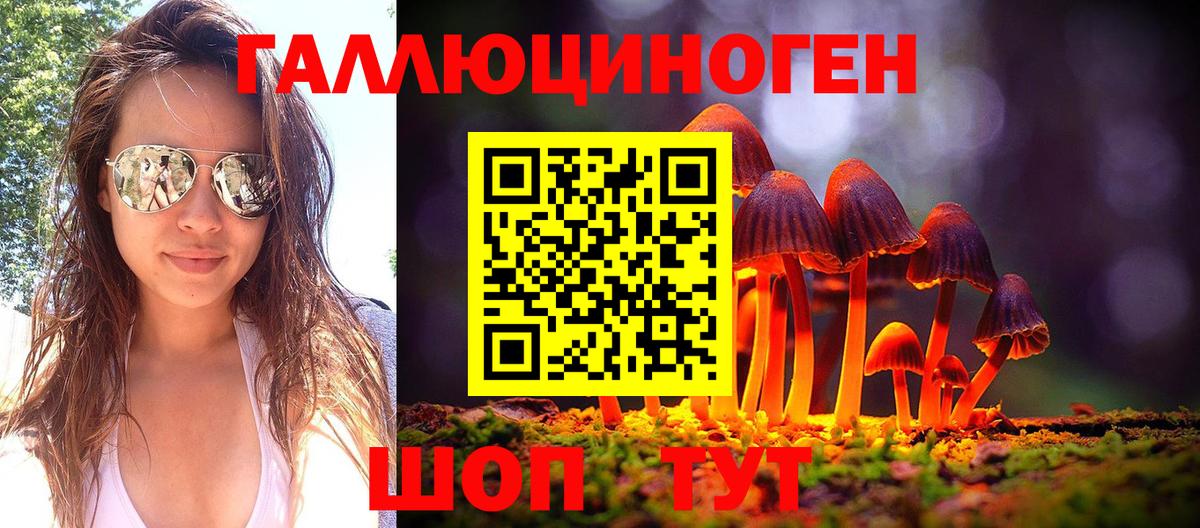 Псилоцибиновые грибы Psilocybe Ульяновск