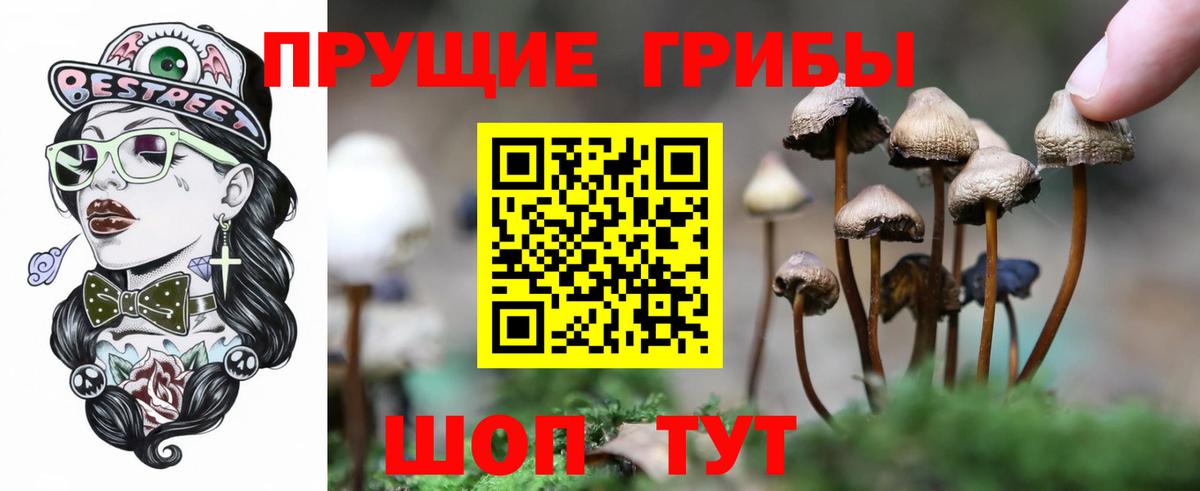 Ульяновск  Галлюциногенные грибы MAGIC MUSHROOMS  Вход с VPN 