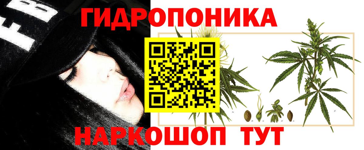 Шишки марихуана SATIVA & INDICA  Бошки Шишки VHQ  Вход с VPN  Ульяновск  Шишки марихуана тримм 
